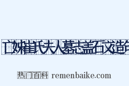 亡姊崔氏夫人墓志盖石文造句是什么意思的图片
